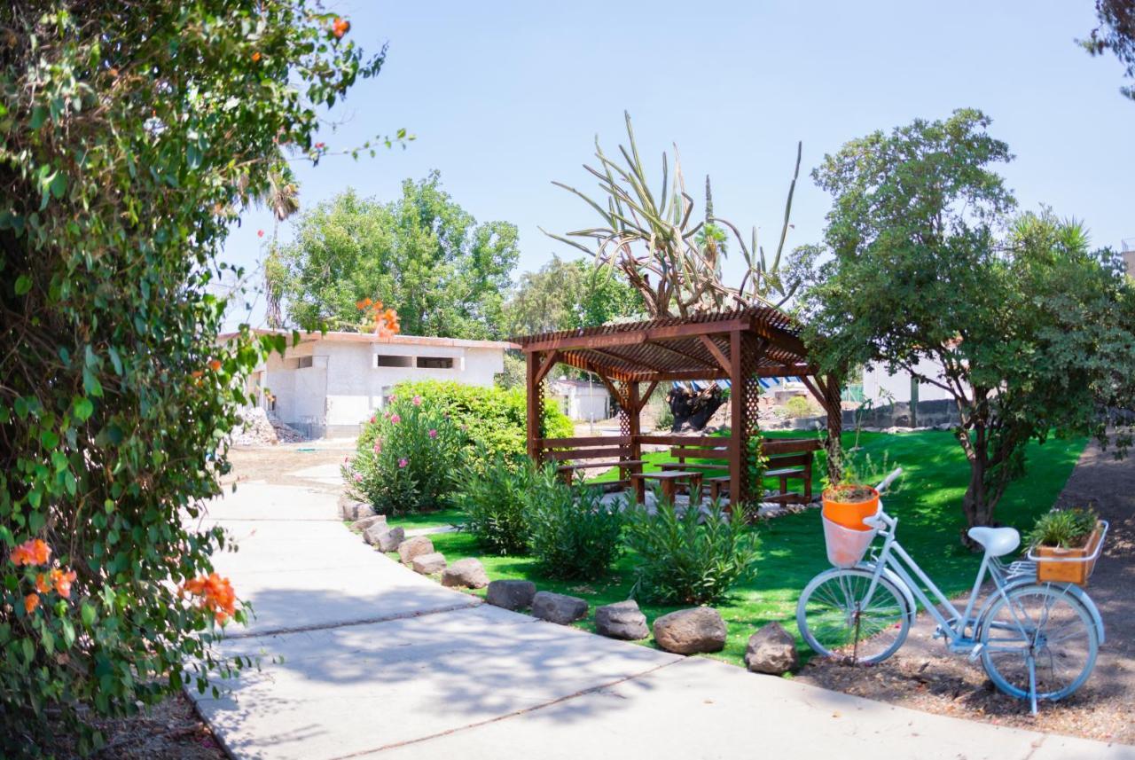 Bed and Breakfast Aliyah Return Center Degania Bet Exterior foto